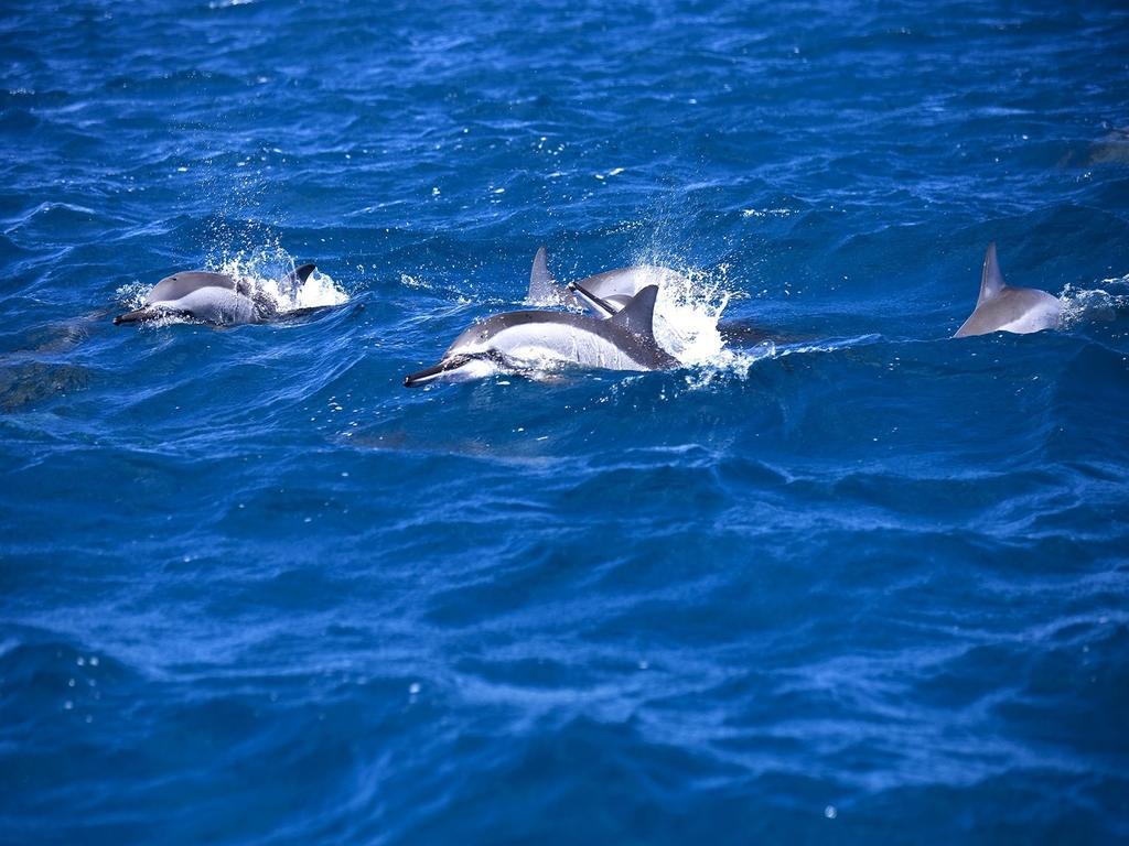 Happy Days Guest House Le Morne Buitenkant foto